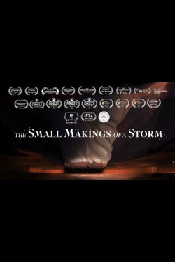 The Small Makings of a Storm (2024) The Small Makings of a Storm (2024)