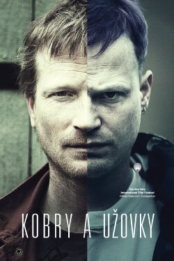 The Snake Brothers (2015) The Snake Brothers (2015)