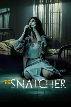 The Snatcher (2024)