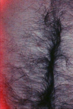 The Soft White Underbelly (1982) The Soft White Underbelly (1982)
