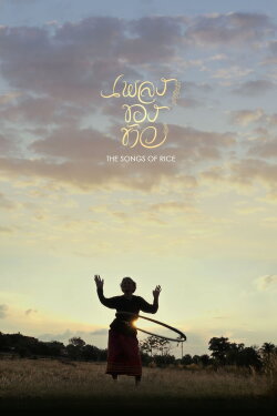 The Songs of Rice (2014) The Songs of Rice (2014)