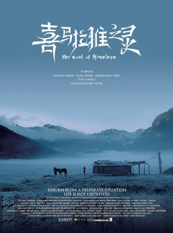 The Soul of Himalaya (2017) The Soul of Himalaya (2017)