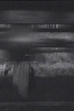The Sparrow (1995)