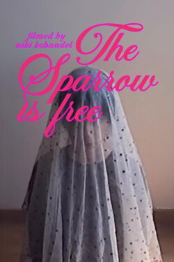 The Sparrow is Free (2021) The Sparrow is Free (2021)