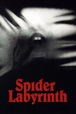 The Spider Labyrinth (1988)