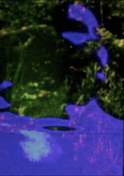 The Spine Folds Far Away (2020) The Spine Folds Far Away (2020)