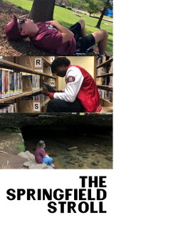 The Springfield Stroll (2024)