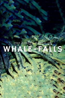 The Stages of Whale Decomposition (2022) The Stages of Whale Decomposition (2022)
