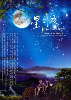 The Starry Night (2019) The Starry Night (2019)