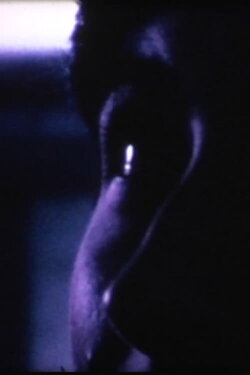 The Steel Chickn (1970) The Steel Chickn (1970)