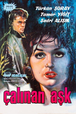 The Stolen Love (1963) The Stolen Love (1963)