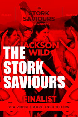 The Stork Saviours (2019) The Stork Saviours (2019)