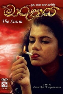 The Storm (1995)