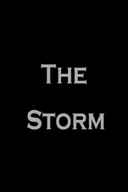 The Storm (2017)