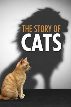 The Story of Cats (2016) The Story of Cats (2016)