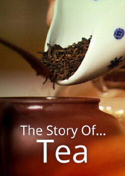 The Story of ... Tea (2016) The Story of ... Tea (2016)
