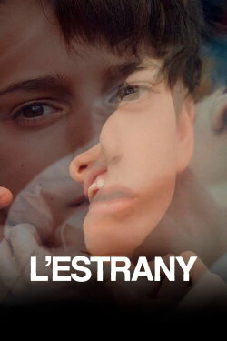 The Strange (2020) The Strange (2020)
