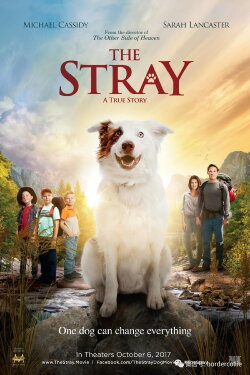 The Stray (2017) The Stray (2017)