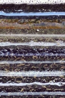 The Stream 2 (2012)