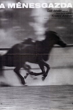 The Stud Farm (1978)