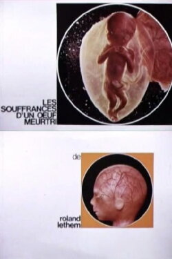 The Sufferings of a Wounded Egg (1967) The Sufferings of a Wounded Egg (1967)