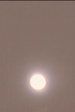 The Sun and its Double (2014) The Sun and its Double (2014)