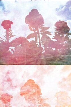 The Sun Quartet, Part 1: Sunstone (2017) The Sun Quartet, Part 1: Sunstone (2017)