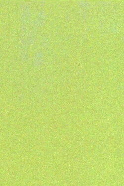 The Sun Quartet, Part 3: Conflagration (2017)