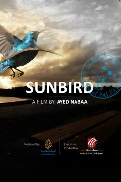 The Sunbird (2016) The Sunbird (2016)