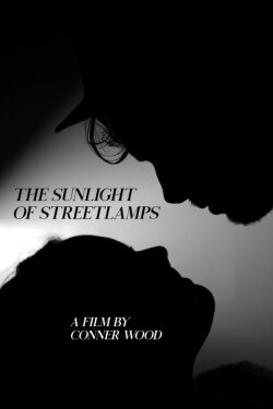 The Sunlight of Streetlamps (2020) The Sunlight of Streetlamps (2020)