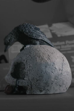The Swanford Crows - First Encounter (2023) The Swanford Crows - First Encounter (2023)