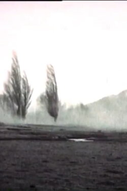 The Swing (1994)