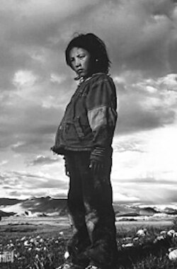 The Temptation of Tibet (1988) The Temptation of Tibet (1988)