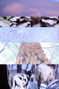 The Things That Make up my Body (2019) The Things That Make up my Body (2019)