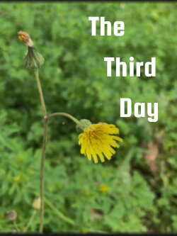 The Third Day (2024)