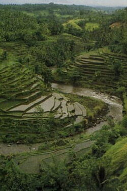 The Three Worlds of Bali (1981) The Three Worlds of Bali (1981)