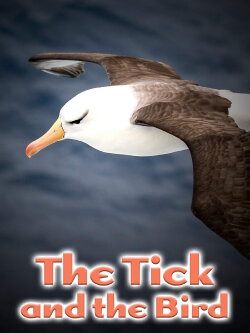 The Tick and the Bird (2002)