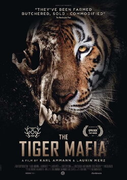 The Tiger Mafia (2020) The Tiger Mafia (2020)