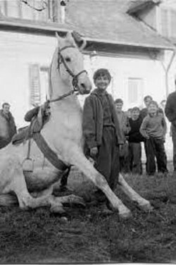 The Time of Horses (1972) The Time of Horses (1972)