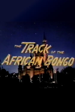 The Track of the African Bongo (1977)