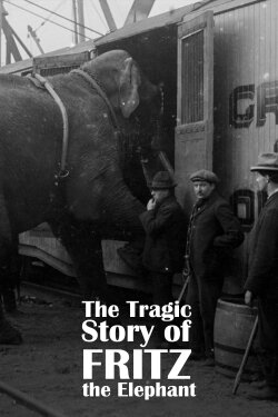 The Tragic Story of Fritz the Elephant (2023) The Tragic Story of Fritz the Elephant (2023)
