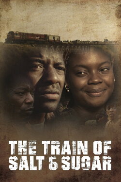 The Train of Salt and Sugar (2016) The Train of Salt and Sugar (2016)