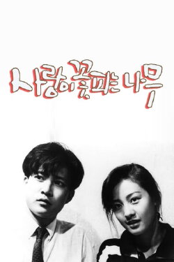The Tree of Blooming Love (1987)