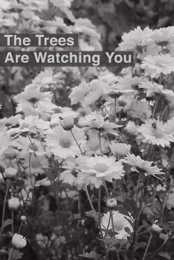 The Trees Are Watching You (2017) The Trees Are Watching You (2017)