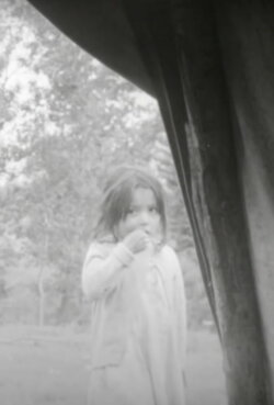 The Trout Lake Cree (1968)