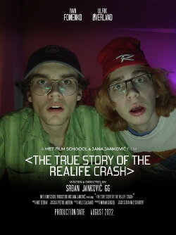 The True Story of the REALIFE Crash (2022) The True Story of the REALIFE Crash (2022)