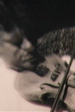 The Turtle Shell (2007)