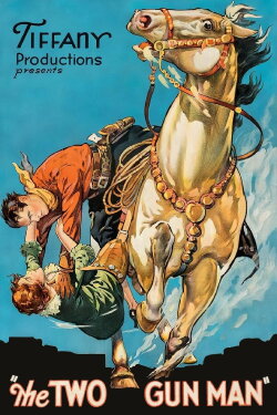 The Two Gun Man (1931) The Two Gun Man (1931)