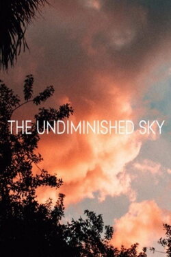 The Undiminished Sky (2017)
