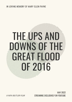 The Ups and Downs of the Great Flood of 2016 (2022) The Ups and Downs of the Great Flood of 2016 (2022)